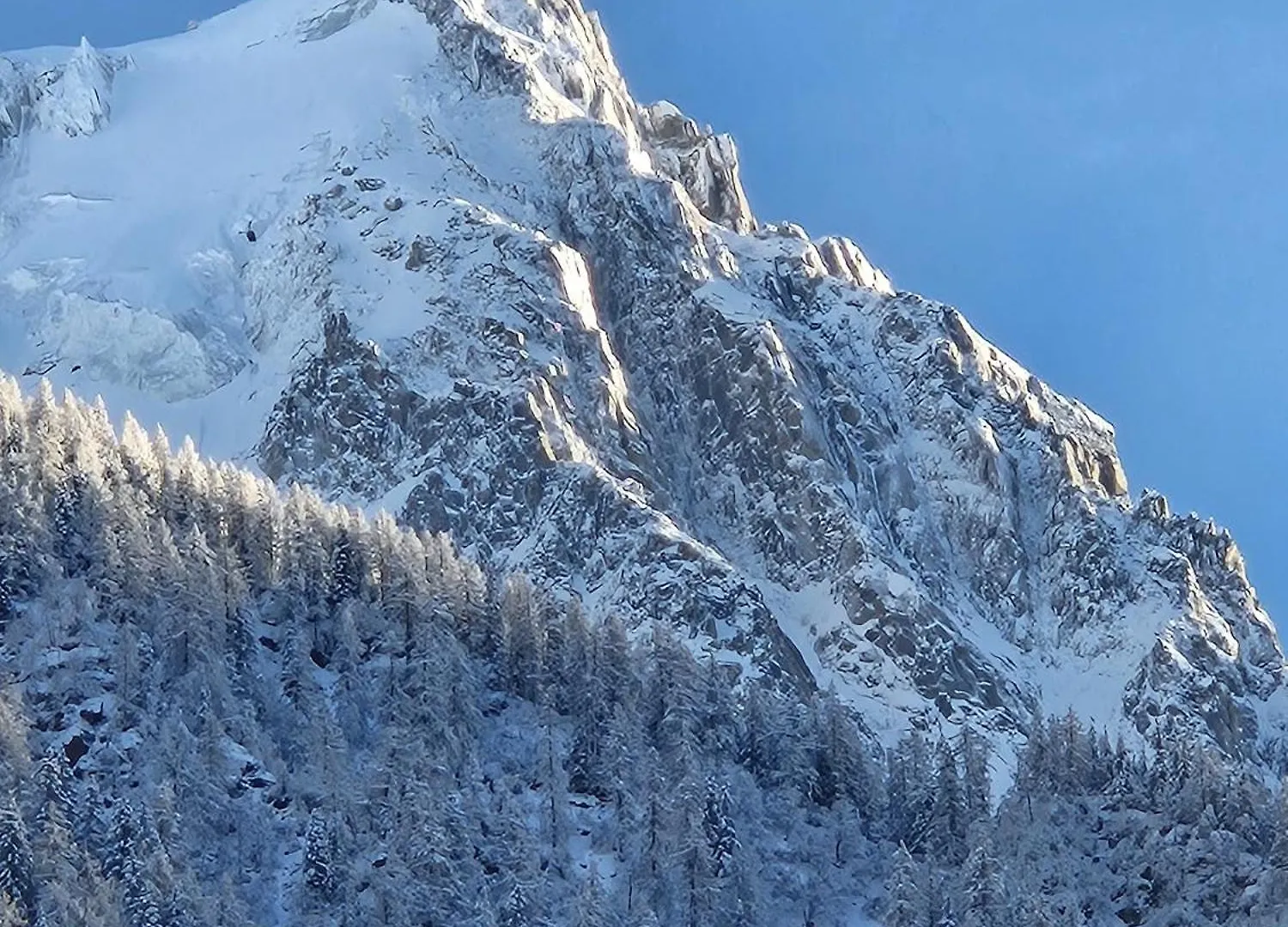 Apartment Appartement Cosy, Vue Mont Blanc, Plein Centre Chamonix